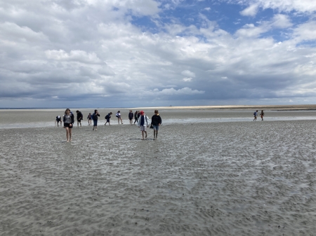 A LA DECOUVERTE DE LA BAIE DU MONT-SAINT-MICHEL ! 6EME AR - GA - HE